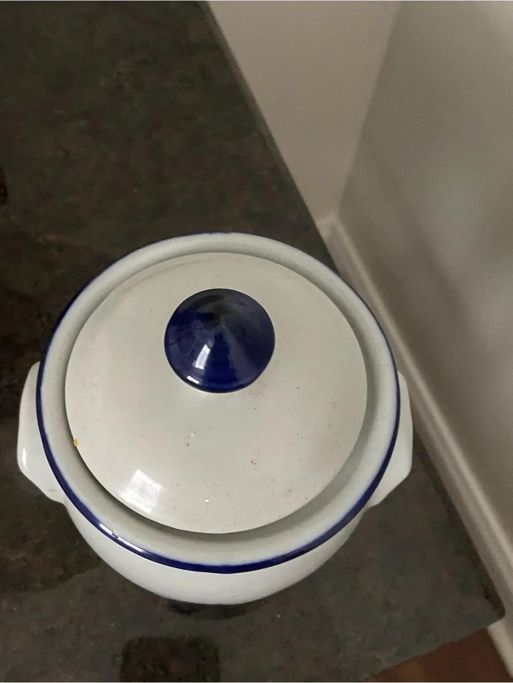 Source Unknown White Ceramic Garlic Keeper with Blue Trim